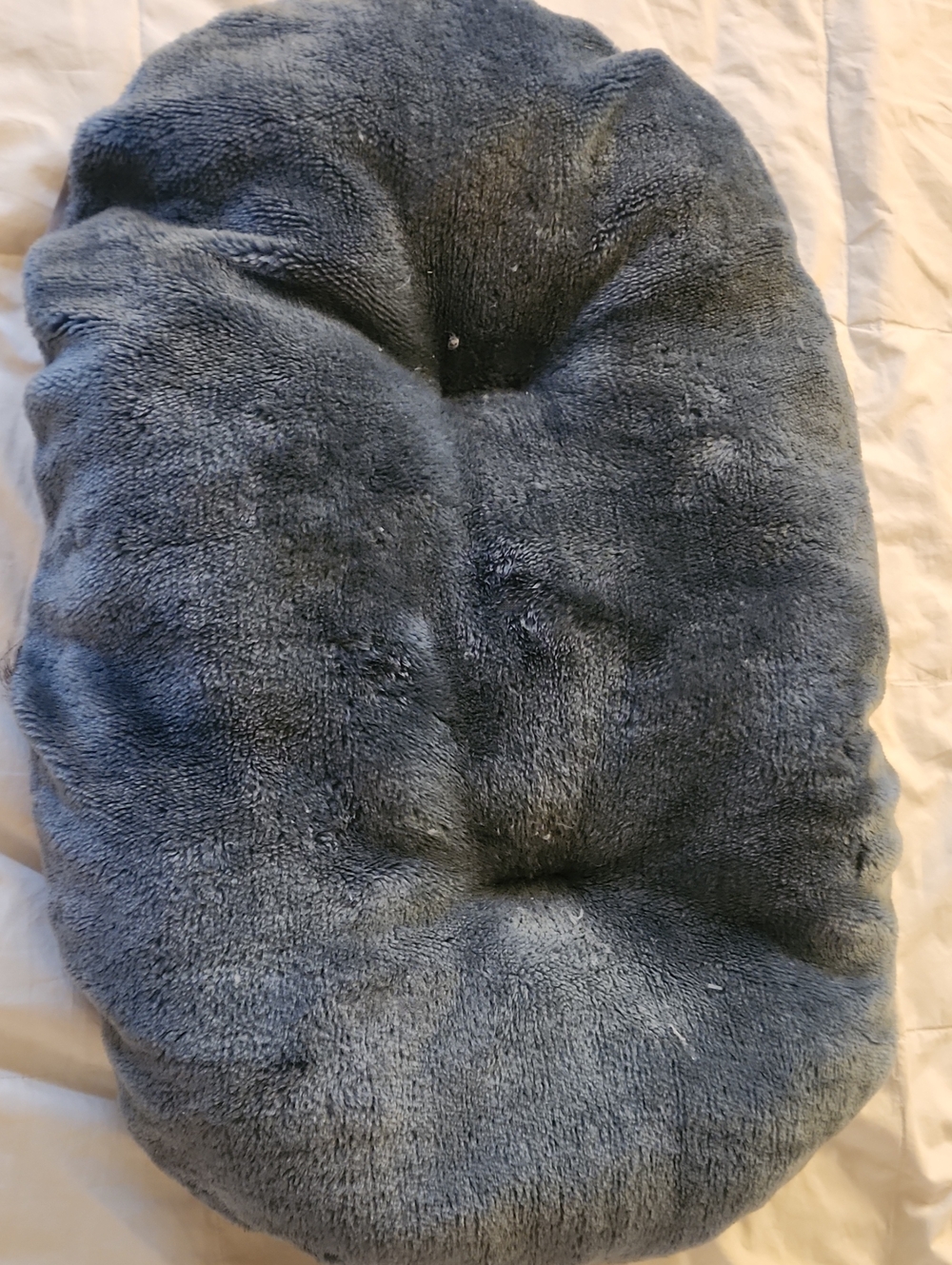 Dog/cat Naptime Bed